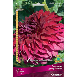 ���������� �������� ������������ ������� (1 ��.)  