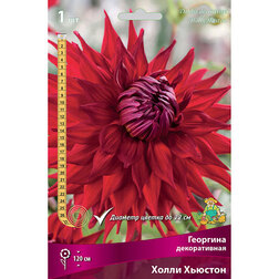 ���������� �������� ������������ ����� ������� (1 ��.)  