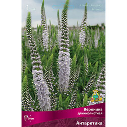 ���������� �������� ������������� ����������  