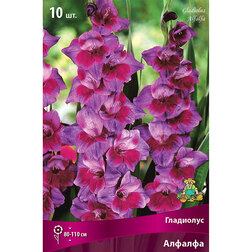 ���������� ��������� ��������������� ������� (10 ��.)  