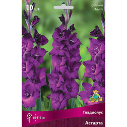 ���������� ��������� ��������������� ������� (10 ��.)  