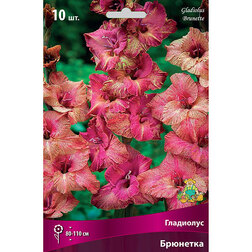 ���������� ��������� ��������������� �������� (10 ��.)  