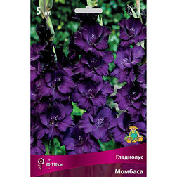 ���������� ��������� ��������������� ������� (5 ��.)  