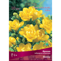 ���������� ������ ��������� �������� ������ (10 ��.)  