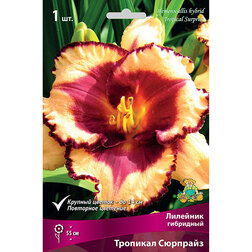 ���������� �������� ��������� �������� �������� *  