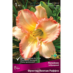 ���������� �������� ��������� ������� ������ ������  