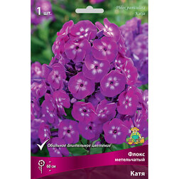 ���������� ����� ����������� ����  