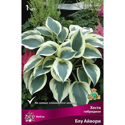 ���������� ����� ��������� ��� ������  