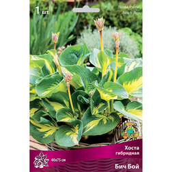 ���������� ����� ��������� ��� ���  