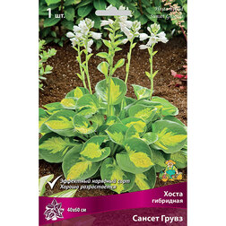 ���������� ����� ��������� ������ �����  