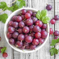 ���������� ��������� �������  