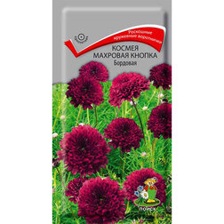 ���������� ������ �������� ������ ��������  