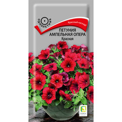 ���������� ������� ��������� ����� �������  