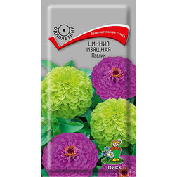 ���������� ������ ������� ������  