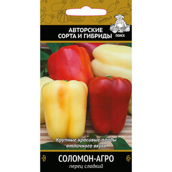 ���������� ����� ������� �������-����  