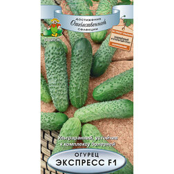 ���������� ������ �������� F1  