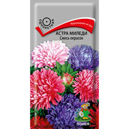 ���������� ����� ������ ����� �������  