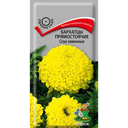 ���������� �������� ������������ ���� ��������  