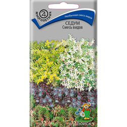 ���������� ����� ����� �����  