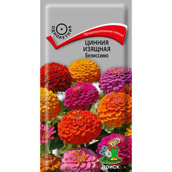 ���������� ������ ������� ���������  