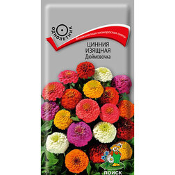 ���������� ������ ������� ����������  