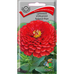 ���������� ������ ������� �������� ����  