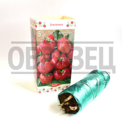 ���������� ��������� ������� �������� (5 ��.)  