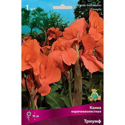 ���������� ����� ���������������� ������  