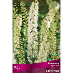 ���������� �������� ������� ���� ����  