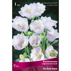 ���������� ����������� �������������� �� ��� ���  