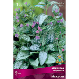 ���������� �������� ��������� �������  