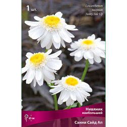 ���������� ������� ���������� ����� ���� ��  