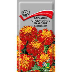 ���������� �������� ����������� �������� ��� ��������  