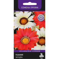 ���������� ������� ������� (������ �����)  