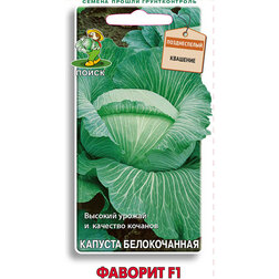 ���������� ������������ ������� ������� F1  