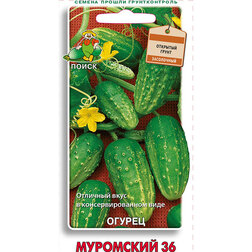 ���������� ������ ��������� 36  