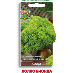 ���������� ����� ����� ������  