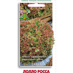 ���������� ����� ����� �����  