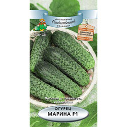 ���������� ������ ������ F1  