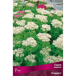 ���������� ����� ������ ��������  