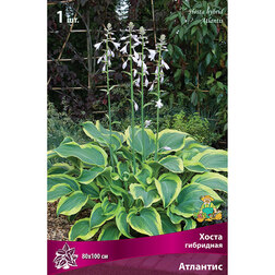 ���������� ����� ��������� ��������  