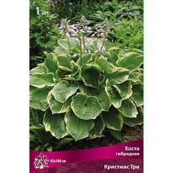 ���������� ����� ��������� �������� ���  