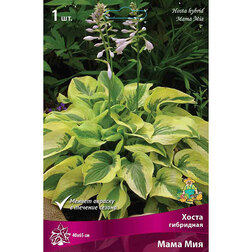 ���������� ����� ��������� ���� ���  