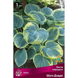 ���������� ����� ��������� ���� �����  