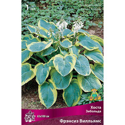 ���������� ����� �������� ������� ��������  