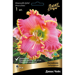 ���������� �������� ��������� ����� ����  