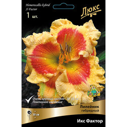 ���������� �������� ��������� ��� ������  