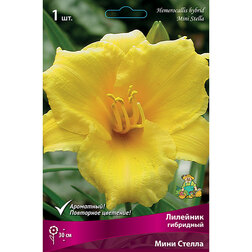 ���������� �������� ��������� ���� ������  