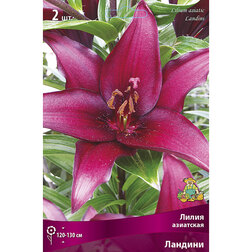 ���������� ����� ��������� ������� (2 ��.)  