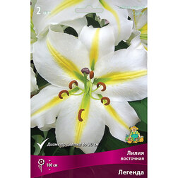 ���������� ����� ��������� ������� (2 ��.)  